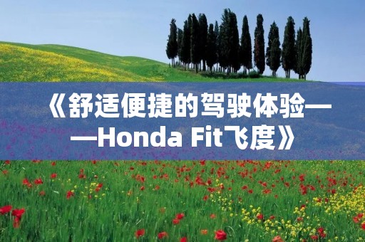 《舒适便捷的驾驶体验——Honda Fit飞度》