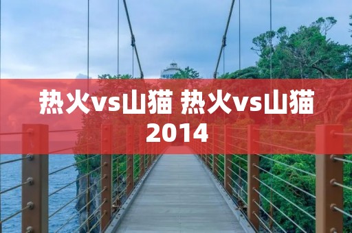 热火vs山猫 热火vs山猫2014