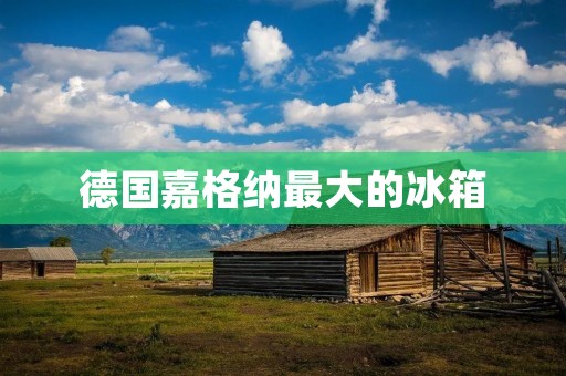 德国嘉格纳最大的冰箱:品质与实用并存 德国嘉格纳最大的冰箱:品质与实用并存