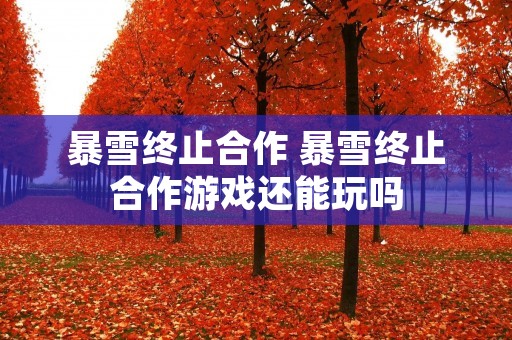 暴雪终止合作 暴雪终止合作游戏还能玩吗 暴雪终止合作 暴雪终止合作游戏还能玩吗