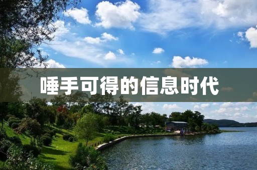 唾手可得的信息时代