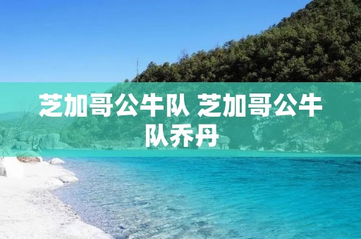芝加哥公牛队 芝加哥公牛队乔丹