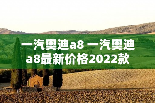 一汽奥迪a8 一汽奥迪a8最新价格2022款