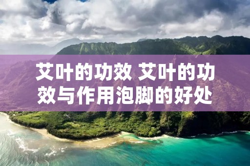 艾叶的功效 艾叶的功效与作用泡脚的好处