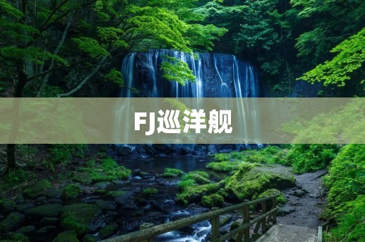 FJ巡洋舰：中国海军的新生力量