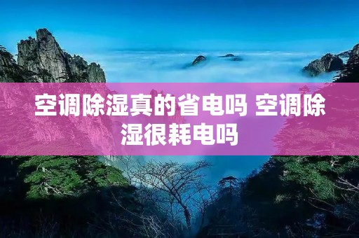 空调除湿真的省电吗 空调除湿很耗电吗