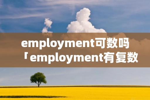 employment可数吗「employment有复数吗」