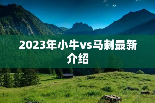 2023年小牛vs马刺最新介绍