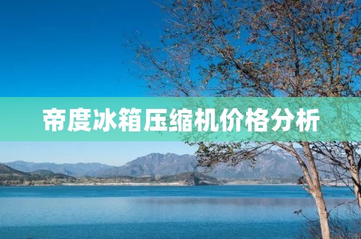 帝度冰箱压缩机价格分析