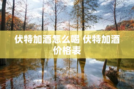 伏特加酒怎么喝 伏特加酒价格表