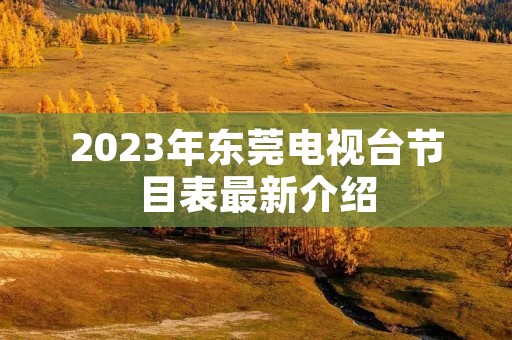 2023年东莞电视台节目表最新介绍