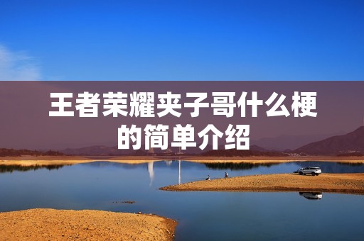 王者荣耀夹子哥什么梗的简单介绍