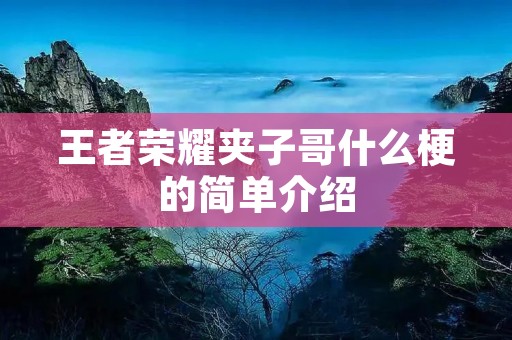 王者荣耀夹子哥什么梗的简单介绍