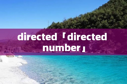 directed「directed number」