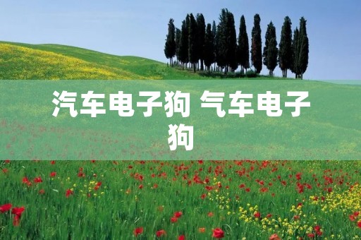 汽车电子狗 气车电子狗