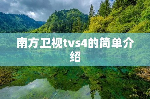 南方卫视tvs4的简单介绍