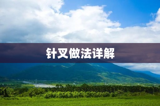 针叉做法详解:从选材到制作全程 针叉做法详解:从选材到制作全程
