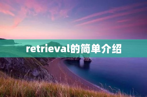 retrieval的简单介绍 retrieval的简单介绍