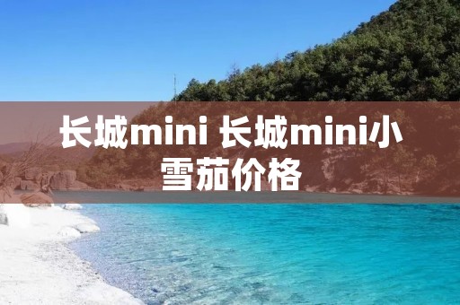 长城mini 长城mini小雪茄价格