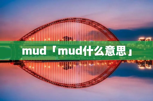 mud「mud什么意思」