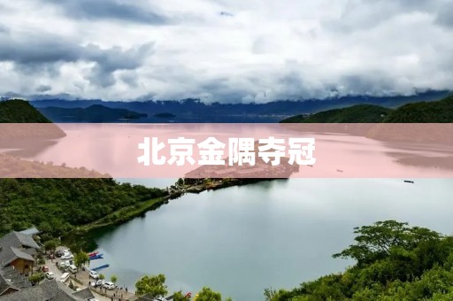 北京金隅夺冠：让历史与未来交汇的瞬间