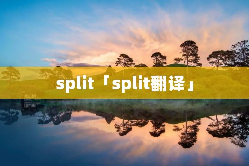 split「split翻译」