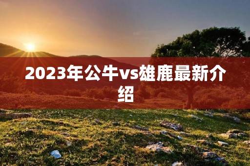 2023年公牛vs雄鹿最新介绍