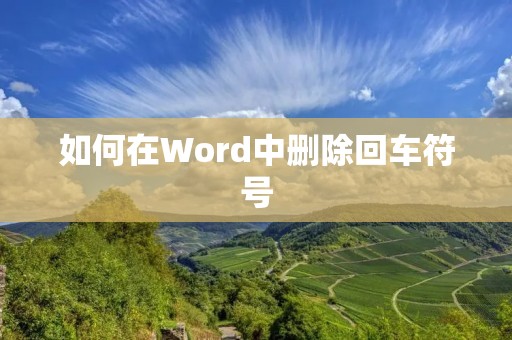 如何在Word中删除回车符号