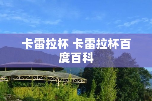卡雷拉杯 卡雷拉杯百度百科