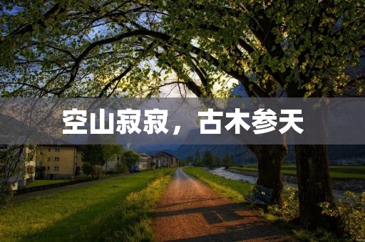 空山寂寂，古木参天