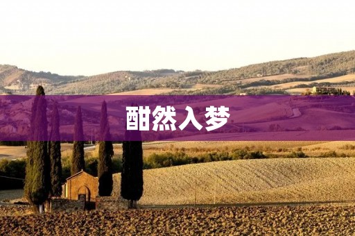 酣然入梦：如何优化睡眠质量