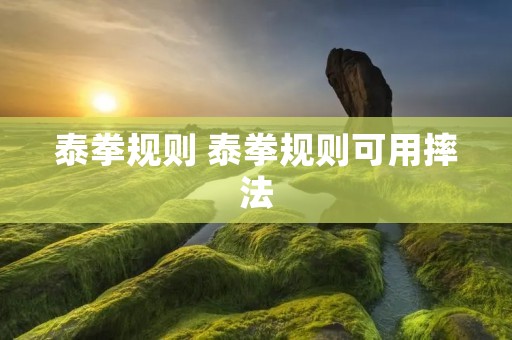 泰拳规则 泰拳规则可用摔法 泰拳规则 泰拳规则可用摔法