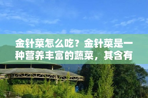 金针菜怎么吃？金针菜是一种营养丰富的蔬菜，其含有丰富的蛋白质、糖类、维生素和矿物质，对人体健康非常有益。那么，金针菜怎么吃呢？下面我们来详细介绍一下。