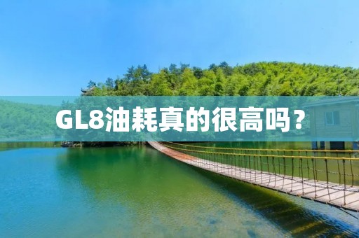 GL8油耗真的很高吗? GL8油耗真的很高吗?