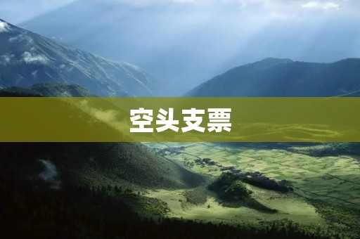 空头支票：诈骗背后的危害