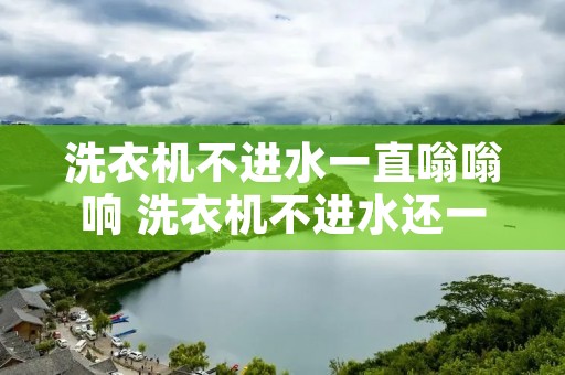 洗衣机不进水一直嗡嗡响 洗衣机不进水还一直响是什么原因