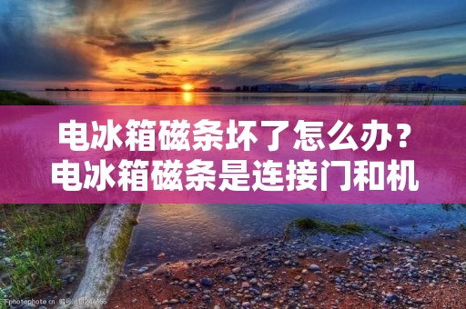 电冰箱磁条坏了怎么办?电冰箱磁条是连接门和机身的重要部件,如果磁条损坏会导致电冰箱密闭性能下降,影响制冷效果。那么,当电冰箱磁条损坏时,我们该如何解决呢? 电冰箱磁条坏了怎么办?电冰箱磁条是连接门和机身的重要部件,如果磁条损坏会导致电冰箱密闭性能下降,影响制冷效果。那么,当电冰箱磁条损坏时,我们该如何解决呢?