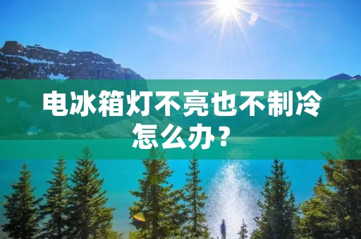 电冰箱灯不亮也不制冷怎么办？