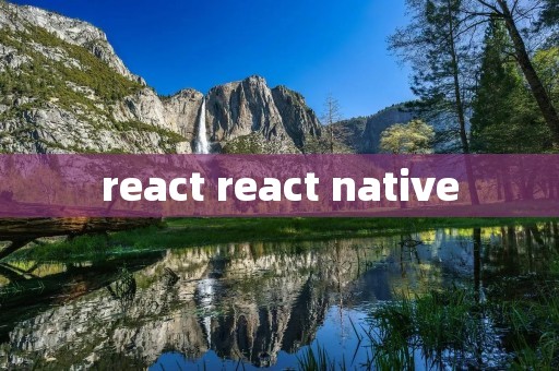 react react native react react native
