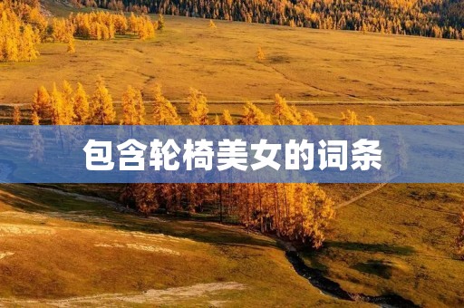 包含轮椅美女的词条