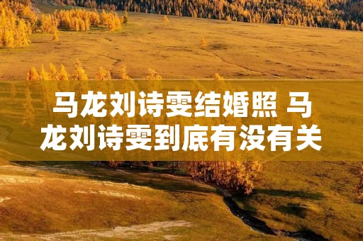 马龙刘诗雯结婚照 马龙刘诗雯到底有没有关系