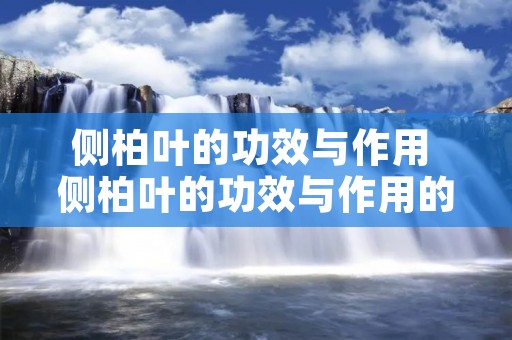 侧柏叶的功效与作用 侧柏叶的功效与作用的功能与主治