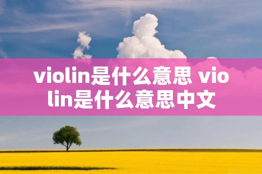 violin是什么意思 violin是什么意思中文