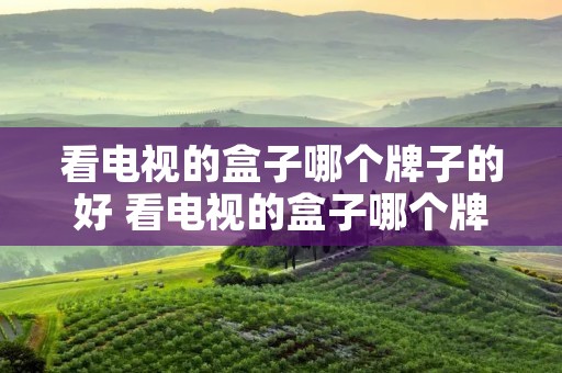 看电视的盒子哪个牌子的好 看电视的盒子哪个牌子的好一点