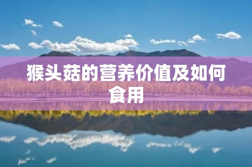 猴头菇的营养价值及如何食用