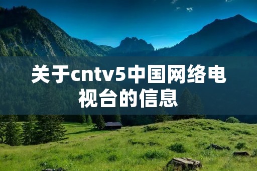 关于cntv5中国网络电视台的信息