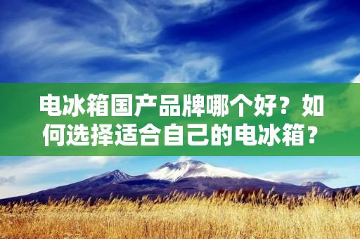 电冰箱国产品牌哪个好？如何选择适合自己的电冰箱？