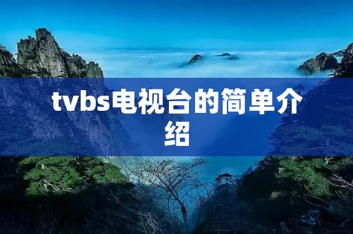tvbs电视台的简单介绍