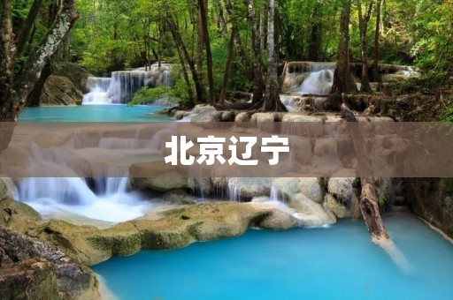 北京辽宁：两地文化交流的纽带