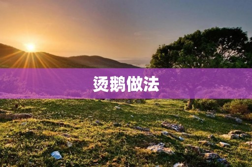烫鹅做法：美味佳肴的制作秘诀